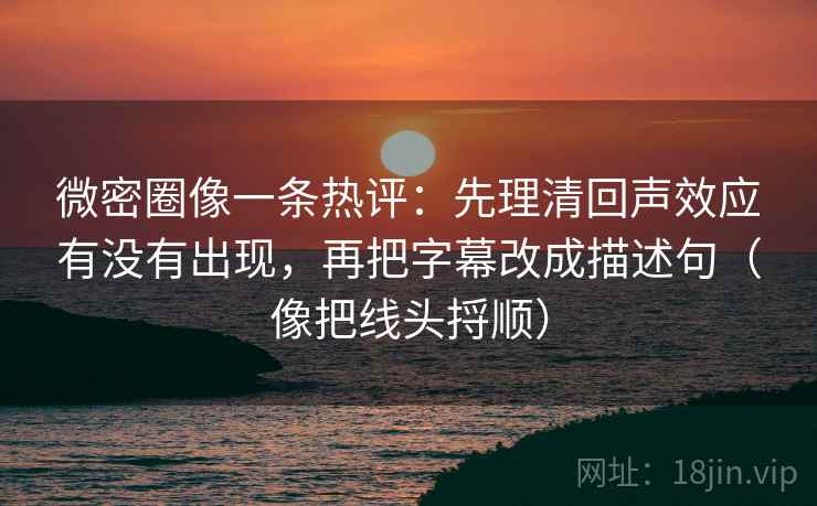 微密圈像一条热评：先理清回声效应有没有出现，再把字幕改成描述句（像把线头捋顺）